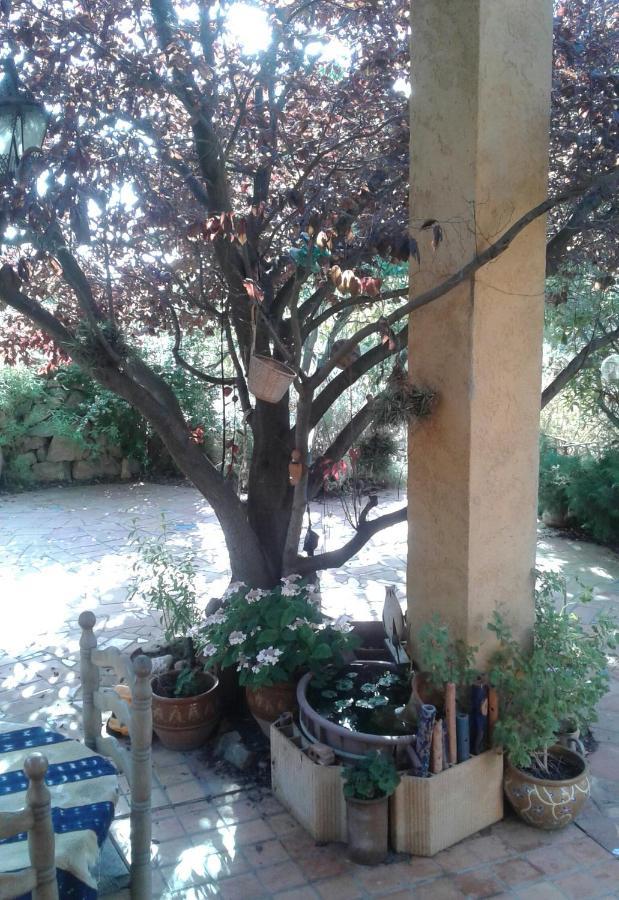 Atelier Pasquer Bed and Breakfast Fitou Buitenkant foto